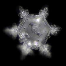 Hexagonalna voda